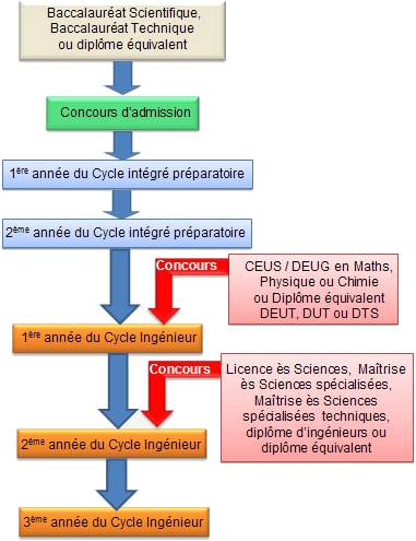 cursusensaj 