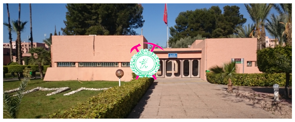 Institut Des Mines Marrakech (IMM)
 