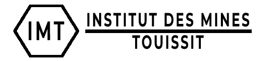 Institut Des Mines Touissit (IMT) 